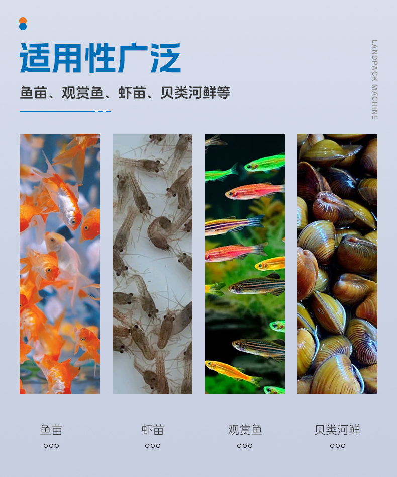 3808半自動(dòng)背封袋+齒輪泵灌液體500ML+鏈斗下料+魚+水+充氣+郭紅-詳情頁_03.jpg